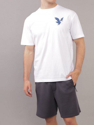 Save 69% on American Eagle men's white T-shirt with American Eagle coupon